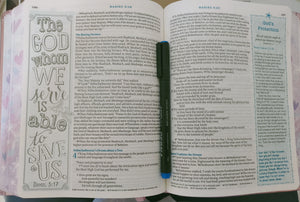Inspire Prayer Bible NLT (Softcover): The Bible for Coloring & Creative Journaling Paperback – Import,