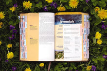 Load image into Gallery viewer, NIV KIDS VISUAL STUDY BIB LEATHERSOFT BR: New International Version, Bronze, Leathersoft: Includes Peel &amp; Stick Bible Tabs Imitation Leather
