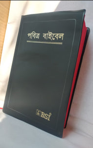 Bengali Holy Bible - BSI version containing Old and New Testament. Packing, Delivery Included.