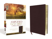 Load image into Gallery viewer, Amplified Holy Bible, Large Print, Bonded Leather, Burgundy Bonded Leather – Large Print
