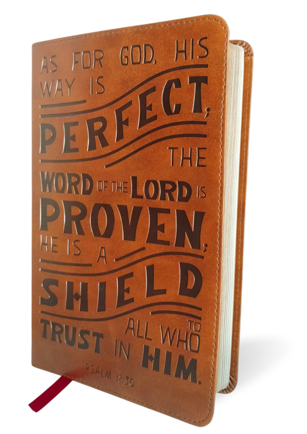 NKJV, Personal Size Reference Bible, Verse Art Cover Collection, Leathersoft, Tan leather, Red Letter, Comfort Print: Holy Bible, New King James Version Imitation Leather. Simple/ Thumb Indexed