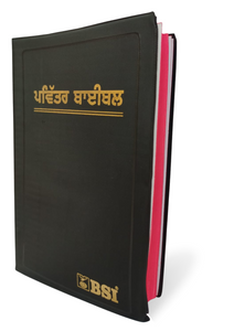 Punjabi Holy Bible - BSI version containing Old and New Testament. Packing, Delivery Included