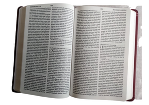 ESV Large Print ValueThinline Bible: Esv Value Thinline Bible Trutone, chestnut Imitation Leather – Import,