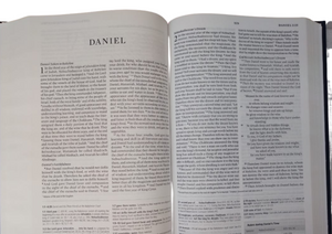 ESV Concise Study Bible, Economy Edition: English Standard Version, Economy Edition Hardcover – Import