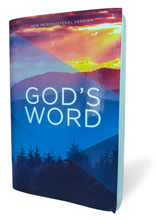 Load image into Gallery viewer, Holy Bible: New International Version, God&#39;s Word Paperback – Import
