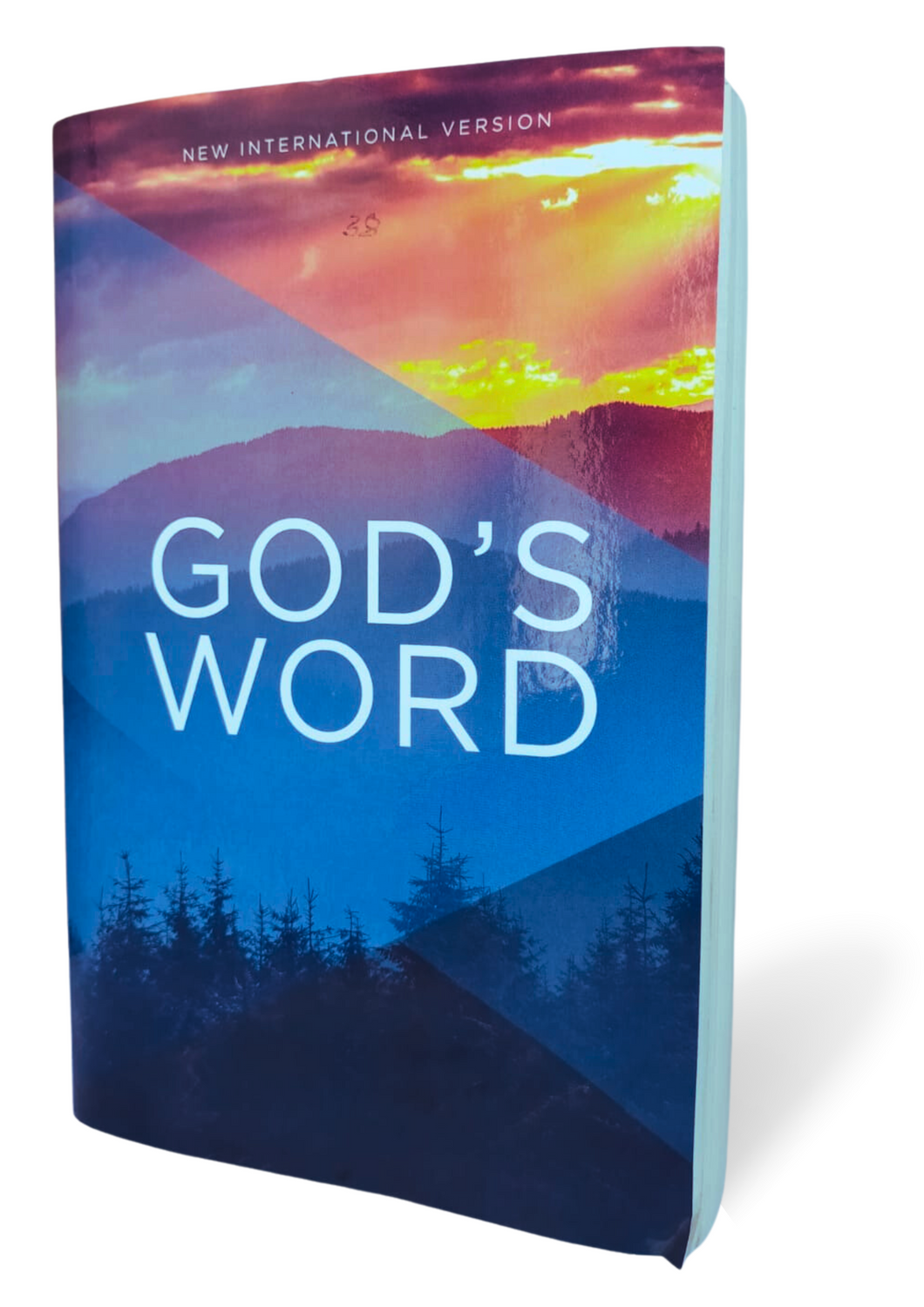 Holy Bible: New International Version, God's Word Paperback – Import