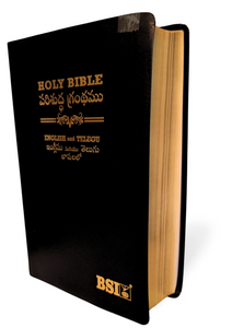 Bilingual Holy Bible, English and Telugu Diglot  korean print Leather/Hardcover