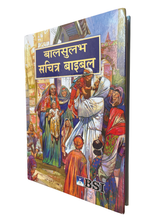 Load image into Gallery viewer, Hindi BSI Children’s Bible – Small Edition | Illustrated Kids Bible Storybook | Easy-to-Read Hindi Scripture (Paperback)
