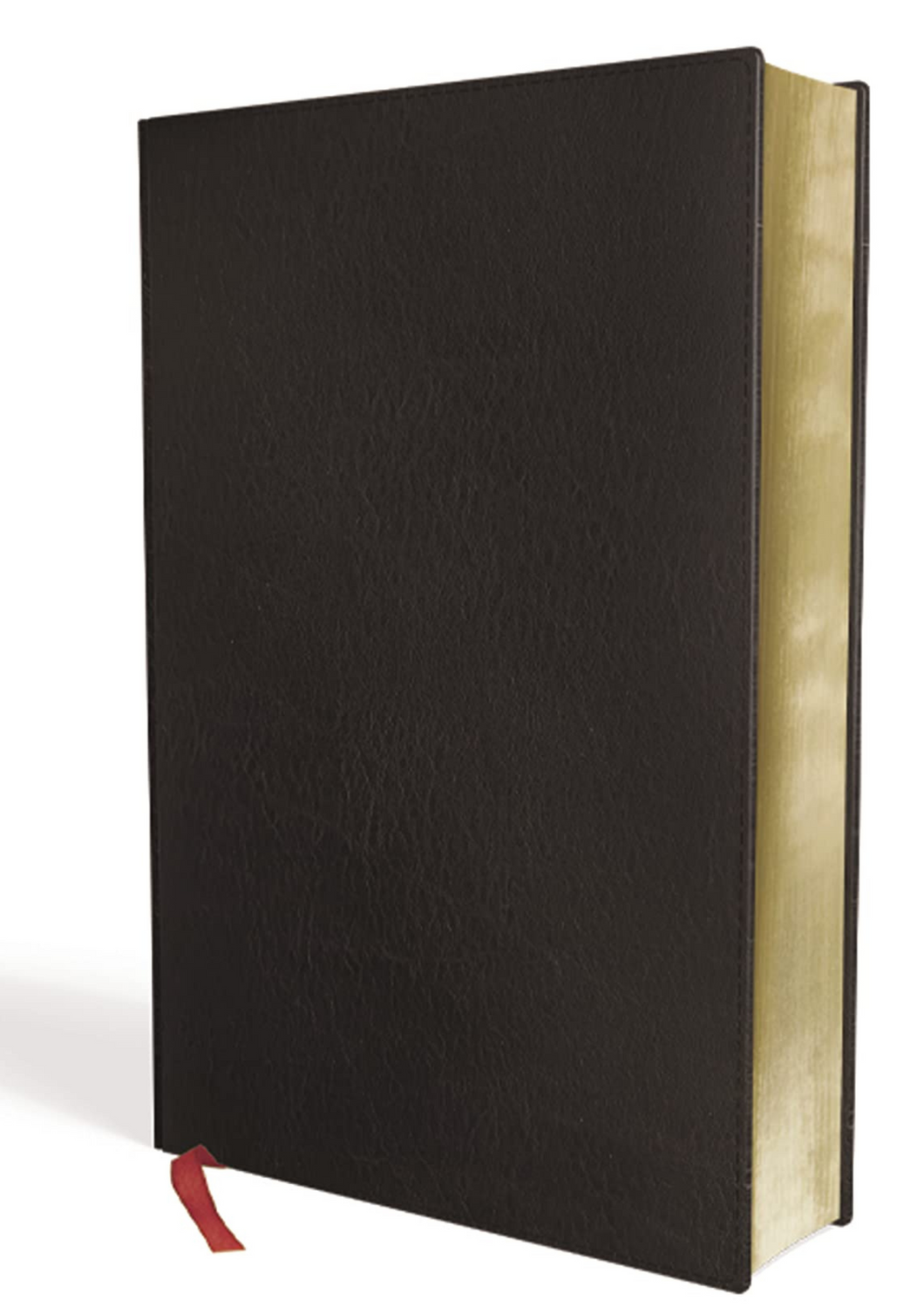 KJV, Thompson Chain-Reference Bible, Handy Size, Bonded Leather, Black, Red Letter: King James Version, Black, Bonded Leather, Handy Size, Red Letter Bonded Leather