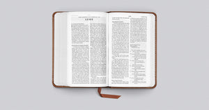 ESV Pocket Bible: Esvbible Trutone, Chestnut Imitation Leather – Import