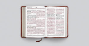 ESV Large Print Compact Bible: Esv Bible Trutone, Terracotta, Ornament Design Leather Bound – Import