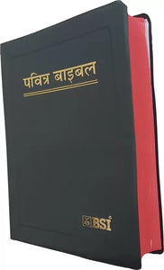 Hindi Holy Bible - BSI version containing Old and New Testament. Packing, Delivery Included.