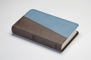 Message Bible Compact Leather Binding: The Bible in Contemporary Language Imitation Leather