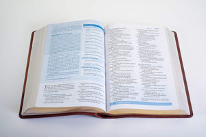 The Christian Basics Bible NLT, Tutone Imitation Leather – Import (Leather Like, Brown/Tan)