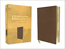 KJV, Thompson Chain-Reference Bible, Leathersoft, Brown, Red Letter: King James Version, Brown, Leathersoft, Red Letter Imitation Leather – Import