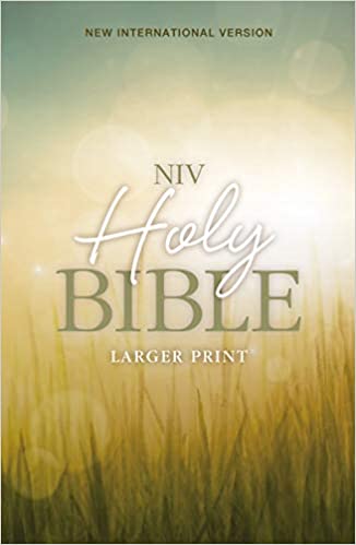 NIV, Holy Bible, Larger Print, Paperback Paperback