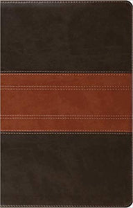 ESV Large Print Thinline Reference Bible Imitation Leather – Large Print,