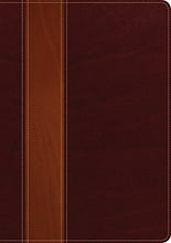 Load image into Gallery viewer, NLT Life Application Study Bible 2nd Edition, Leatherlike brown &amp; tan indexed
