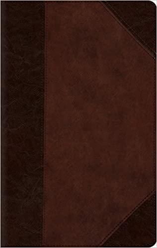 ESV Large Print Compact Bible Imitation Leather – Large Print