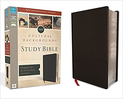 Products NIV, Cultural Backgrounds Study Bible, Bonded Leather