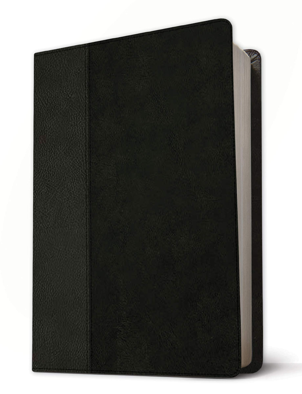 NLT Life Recovery Bible, Second Edition, Personal Size (Leatherlike, Black/Onyx) Imitation Leather