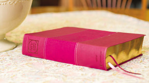NIV Study Bible: New International Version, Burgundy, Leathersoft, Comfort Print (NIV Study Bible, Fully Revised Edition) Imitation Leather – Import,
