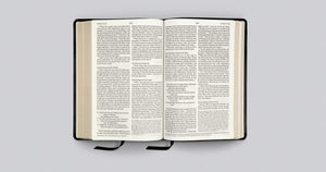 ESV Bible with Creeds and Confessions Imitation Leather Import (TruTone, Black)