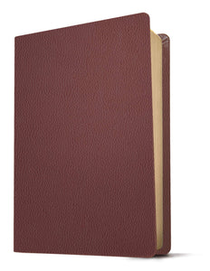 KJV Personal Size Giant Print Bible, Filament Edition, Brown Leather Bound (Red Letter, Genuine Leather, Burgundy)