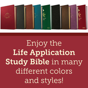NIV Life Application Study Bible, Third Edition Imitation Leather (LeatherLike, Brown/Mahogany) Tyndale NIV Bible