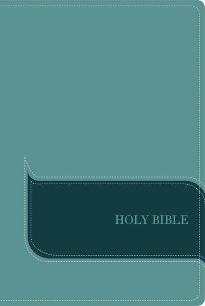 Products NIV, Understand the Faith Study Bible