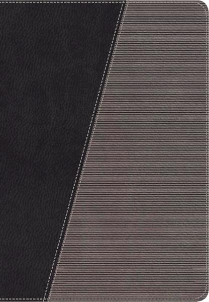 NKJV, The Modern Life Study Bible, Leathersoft, Black/Gray, Thumb Indexed
